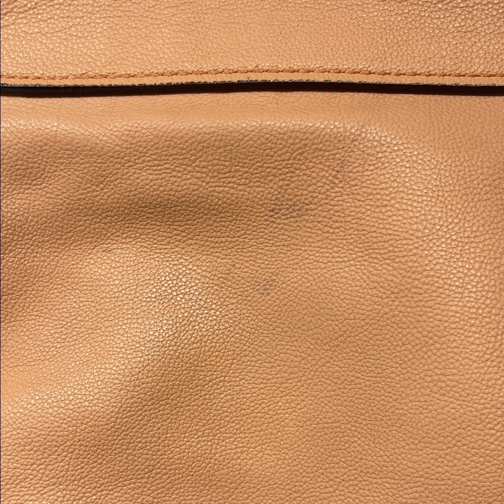 Chloé Elsie 2-way leather Bag - Picture 8 of 13
